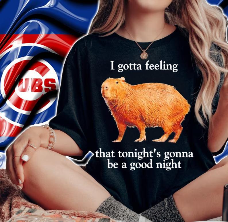 I gotta feeling that tonight's gonna be a good night shirt t-shirt woman shirt