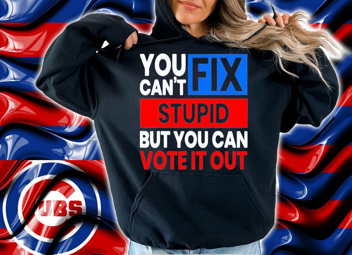 You Cant Fix Stupid But You Can Vote It Out Anti Biden USA T-Shirt t-shirt