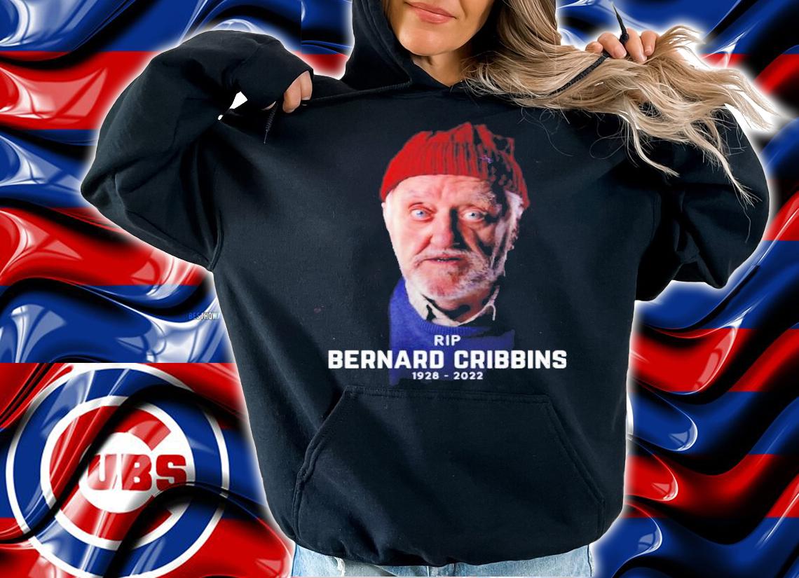 Rest In Peace Bernard Cribbins RIP 1928-2022 Shirt t-shirt
