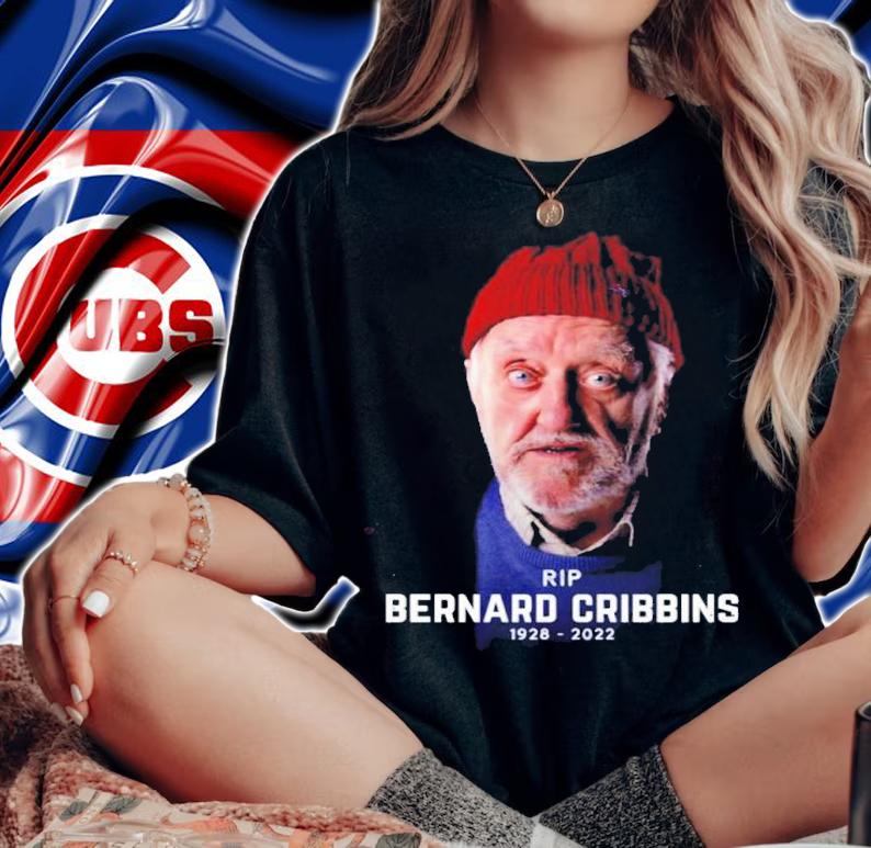 Rest In Peace Bernard Cribbins RIP 1928-2022 Shirt t-shirt