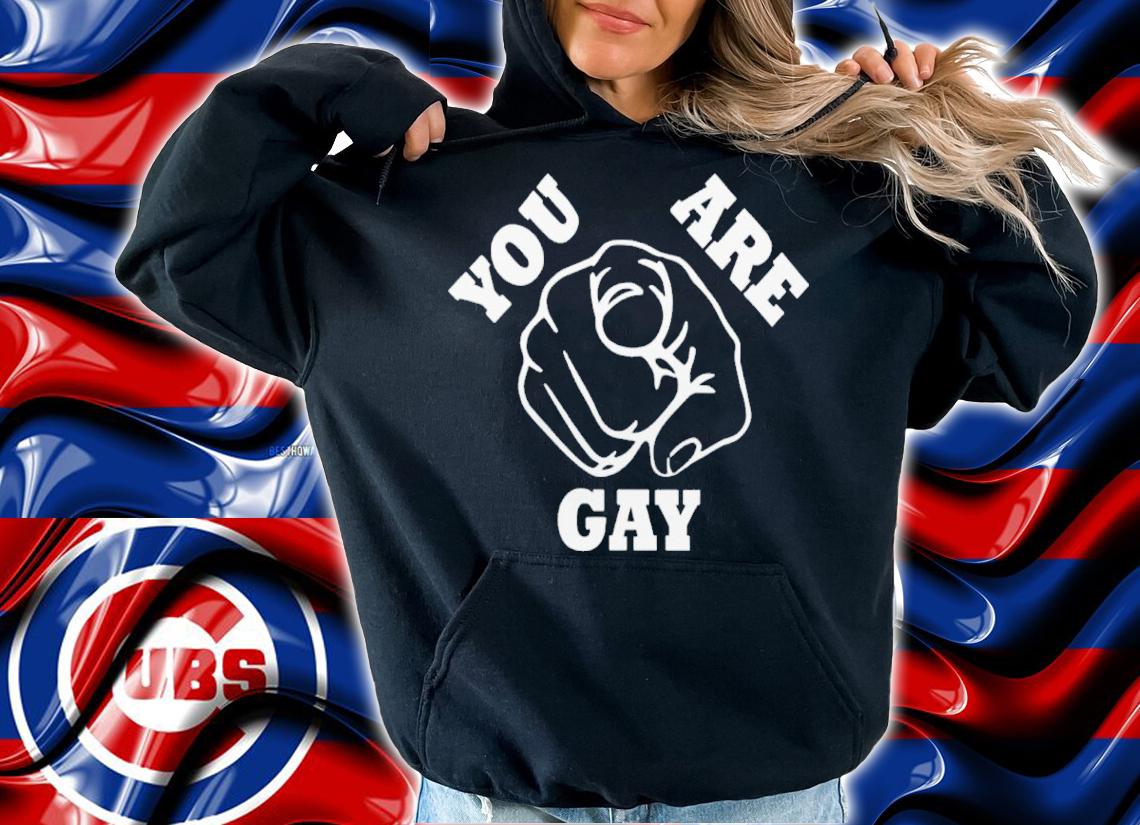 You Are Gay Shirt t-shirt