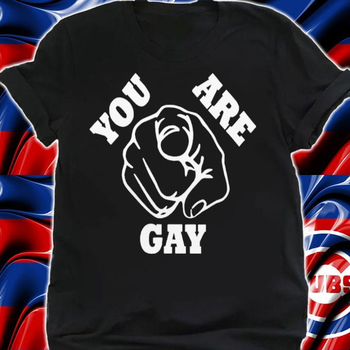 You Are Gay Shirt t-shirt