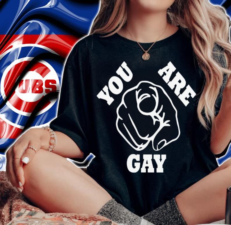 You Are Gay Shirt t-shirt