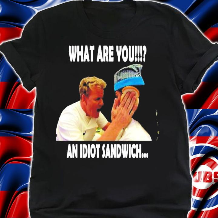 What are you an idiot sandwich shirt
