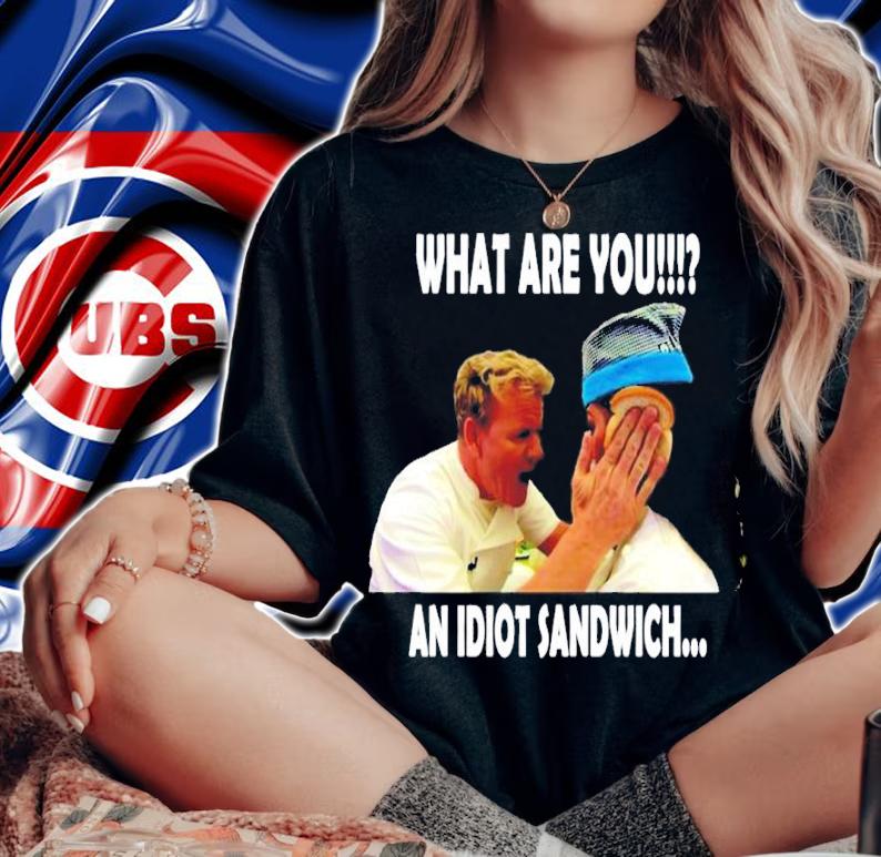 What are you an idiot sandwich shirt