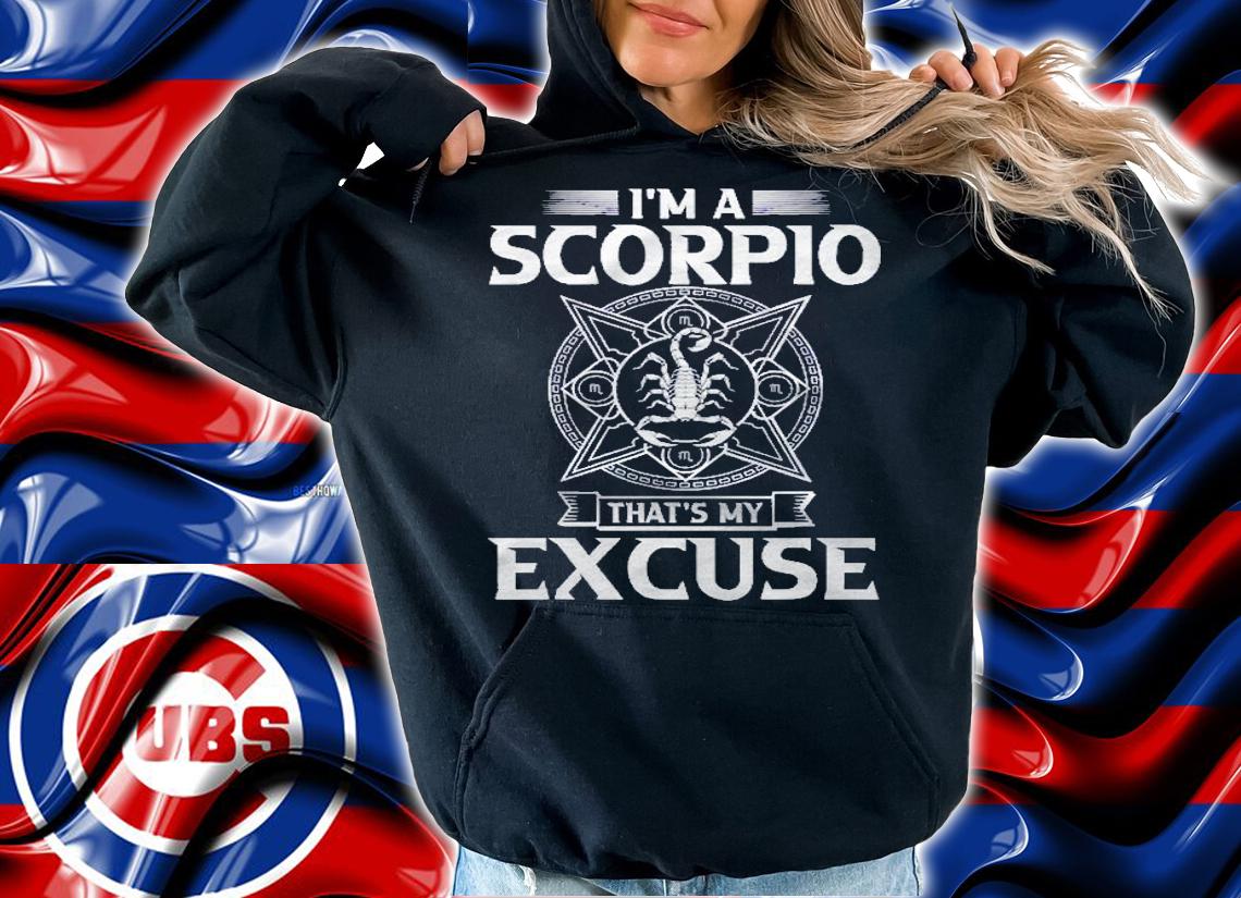 Scorpio Zodiac Sign Gift Scorpio Shirt hoodie